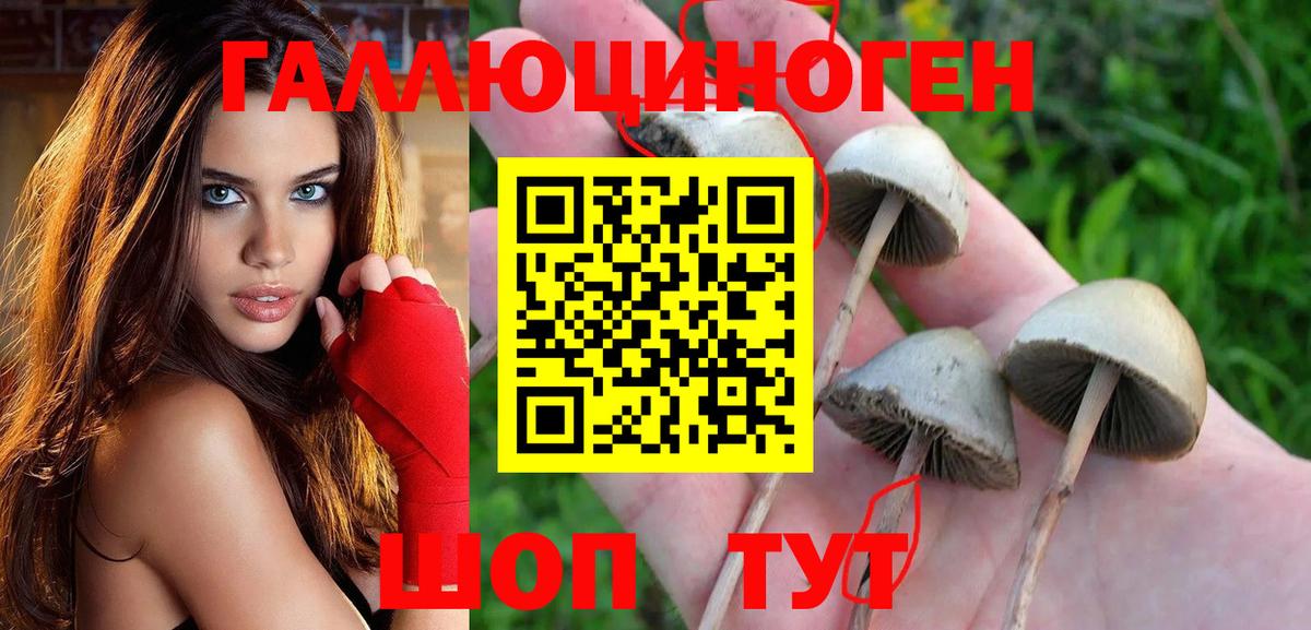 Галлюциногенные грибы MAGIC MUSHROOMS Брянск